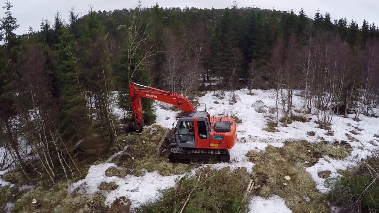 Logging in Norway