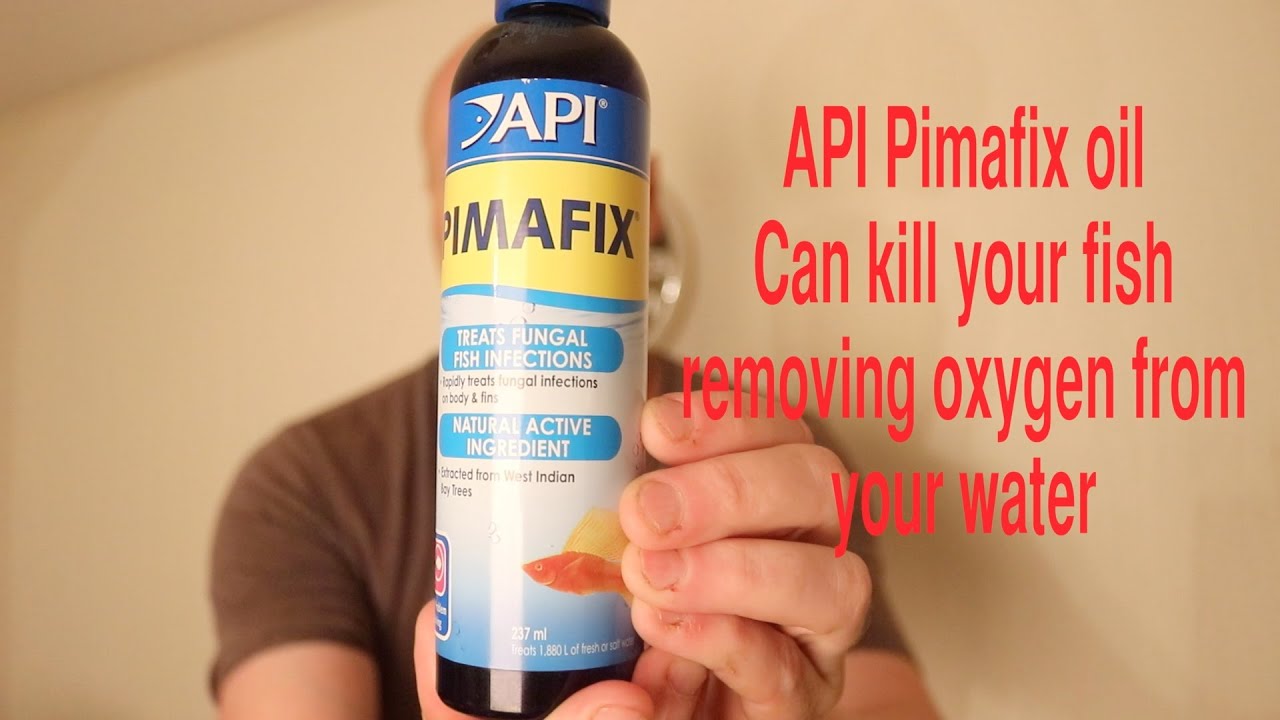 API Pimafix Oil almost killed my fish