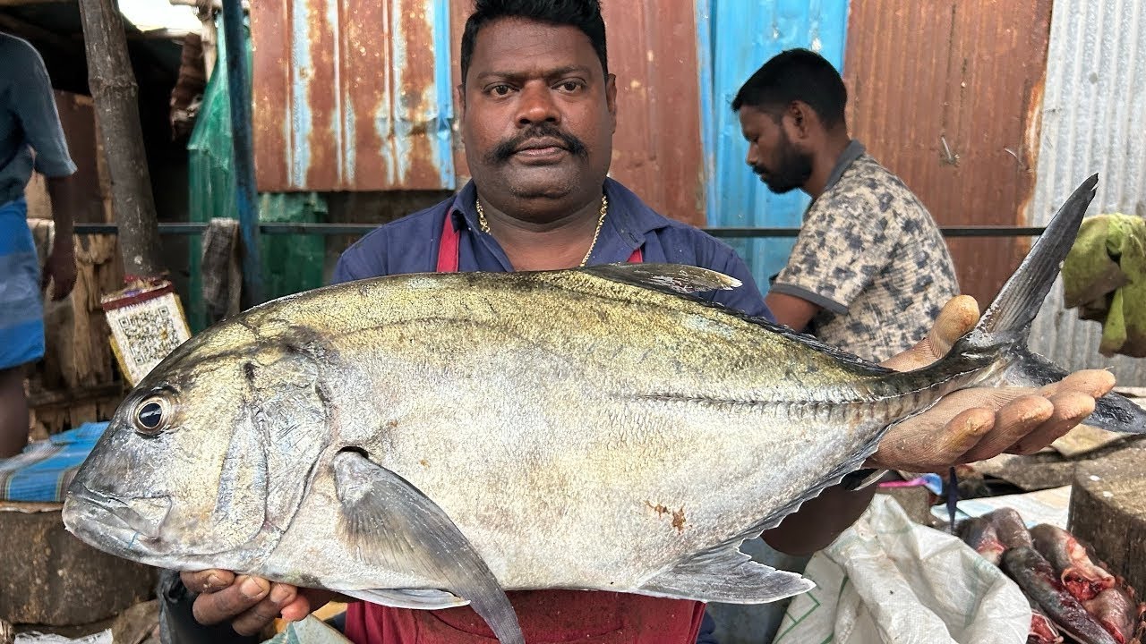 KASIMEDU 🔥 SPEED SELVAM | PARRAI🐟 FISH MASS CUTTING SKILLS | N M FISH CUTTING 🔪