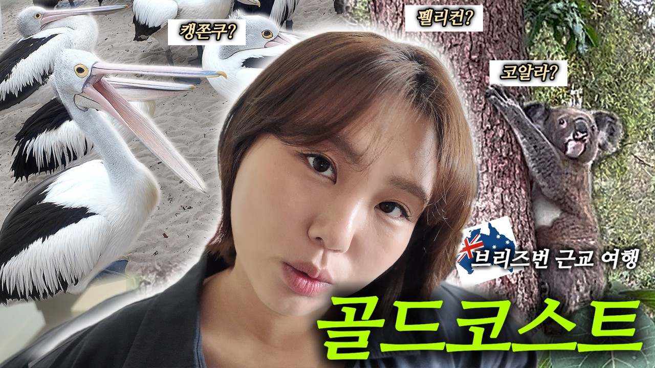캥거루랑 맞짱떠서 질 자신 있습니다. [워홀 브이로그]｜펠리컨・코알라・캥거루・골드코스트여행
