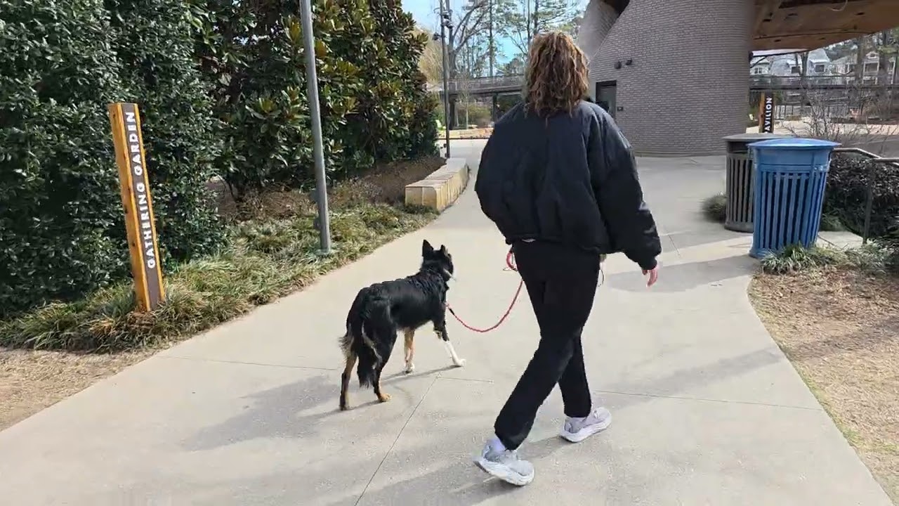 Kayla at Downtown Cary Park