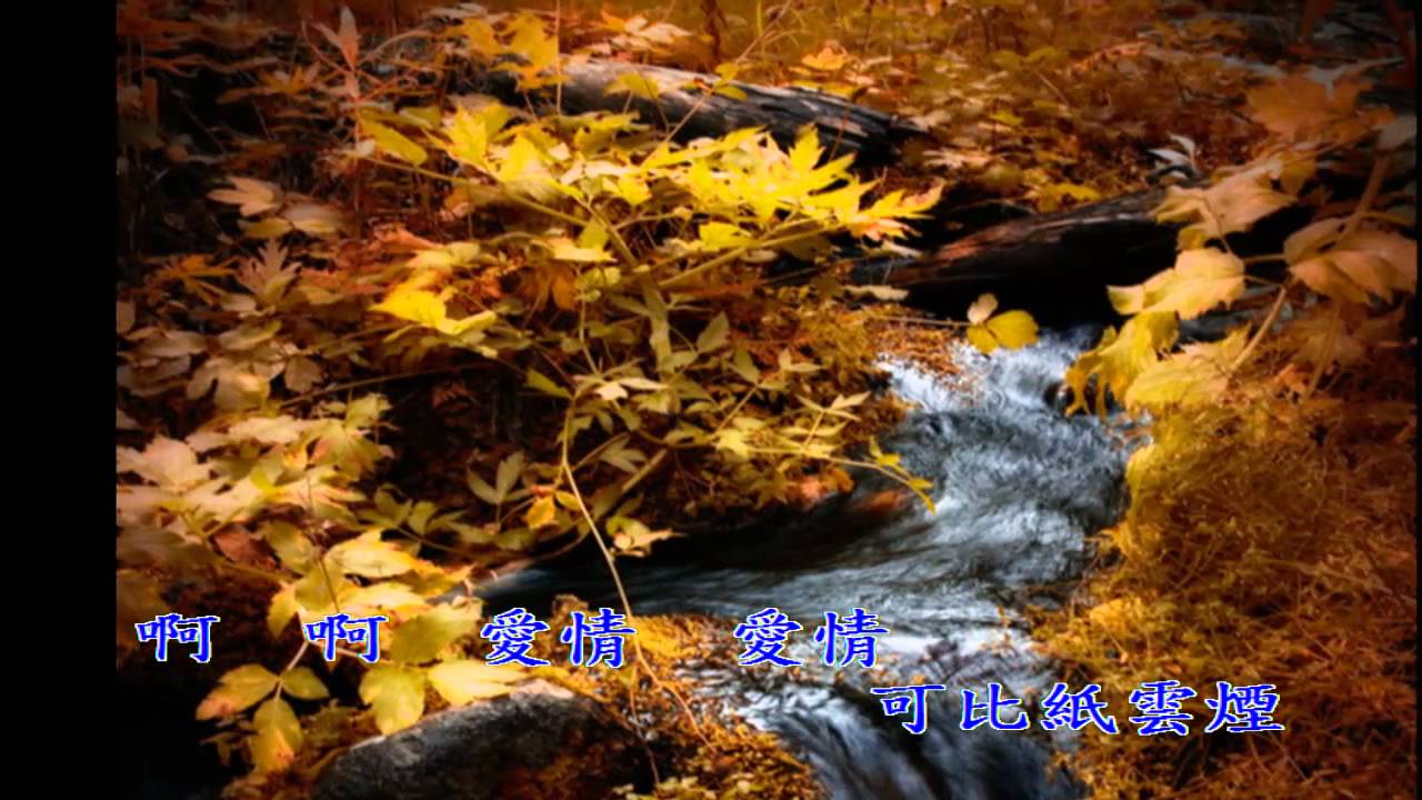 南都夜曲