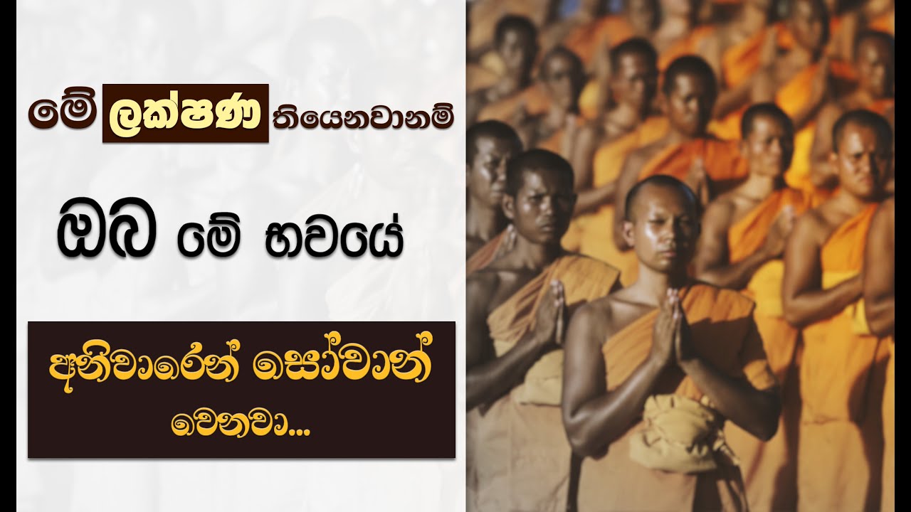 මේ ලක්ෂණ තියෙනවානම් ඔබ මේ භවයේම සෝතාපන්න වෙනවා... | Niwan Dakimu