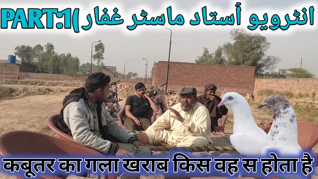 INTERVIEW OF USTAD MASSTAR GAFFAR|| WHEN DOES A PIGEONS GO TO EAT?|| DASI NUSKA||#pigeons
