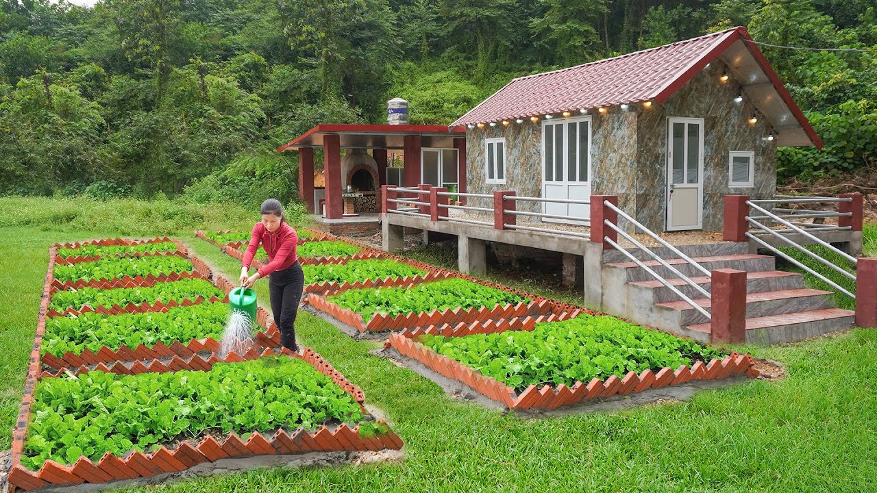 Building Many Red Bricks To Form Vegetable Beds - Plant Vegetable Garden in Front Of Beautiful House