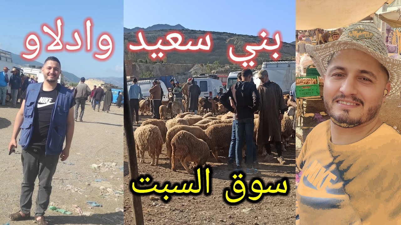 سوق سبت #وادلاو  بني سعيد دخلو تشوفو 🐐🐏🐂 الحولي غالي