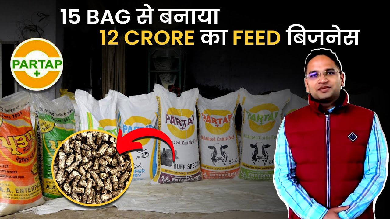 Animal Feed Business | Pashu Aahar Business | Cattle Feed Business | Toolsvilla