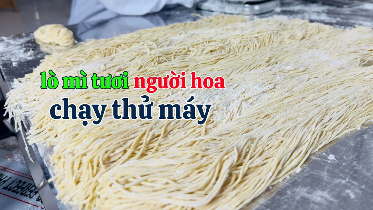 Lò MÌ TƯƠI - MÌ VẮT người hoa chạy thử máy cắt mì sợi