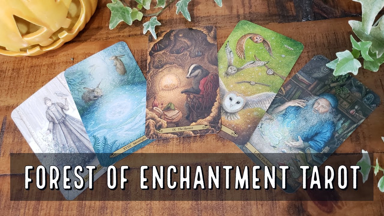 Forest of Enchantment Unboxing