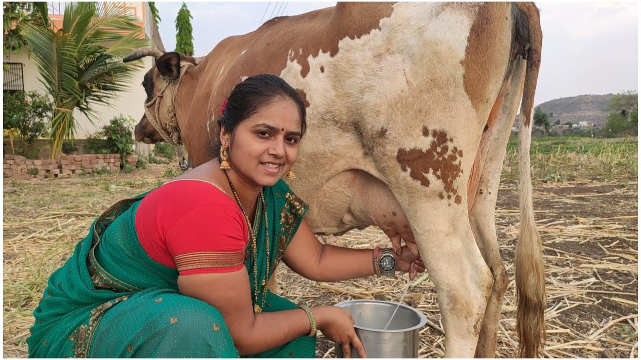 Village Real Life Vlog!!!✨  Cow Milking By Hand 🥰
