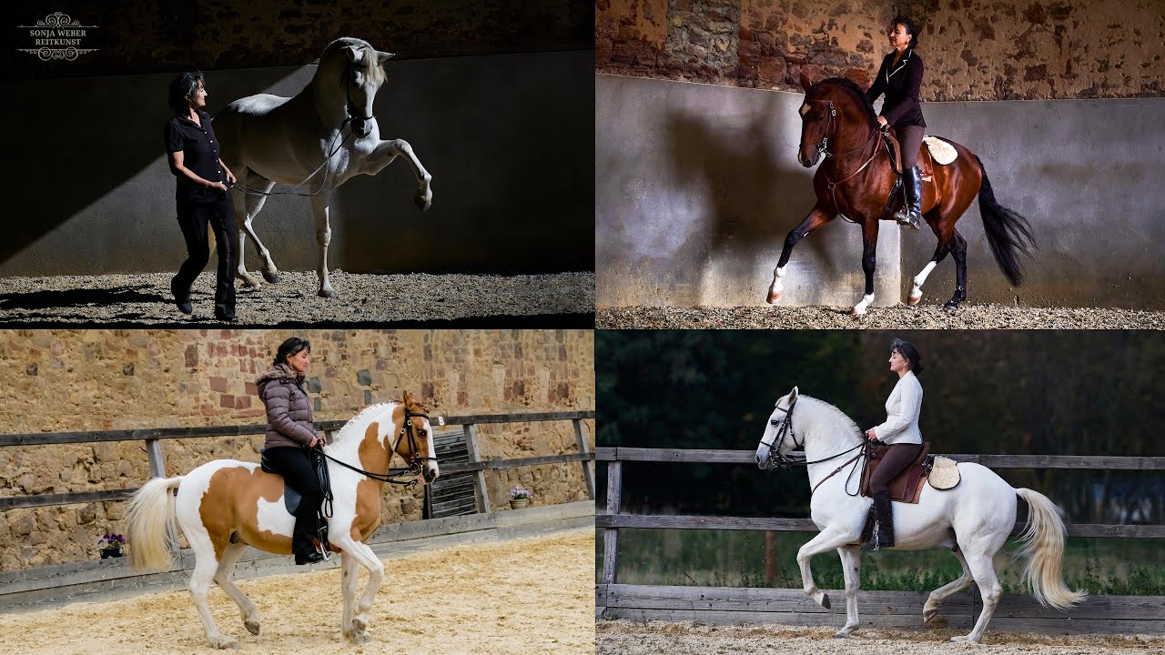 ersammlung für gesunde Pferde und Reiten in Leichtigkeit TrailerTeil 6 Praxis Sonja Weber Reitkunst
