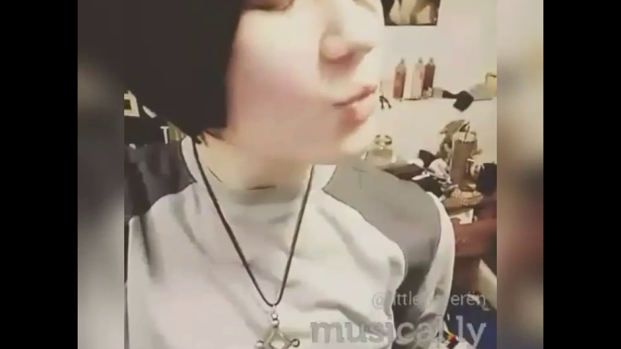 Attack On Titan (AOT) Musical.ly
