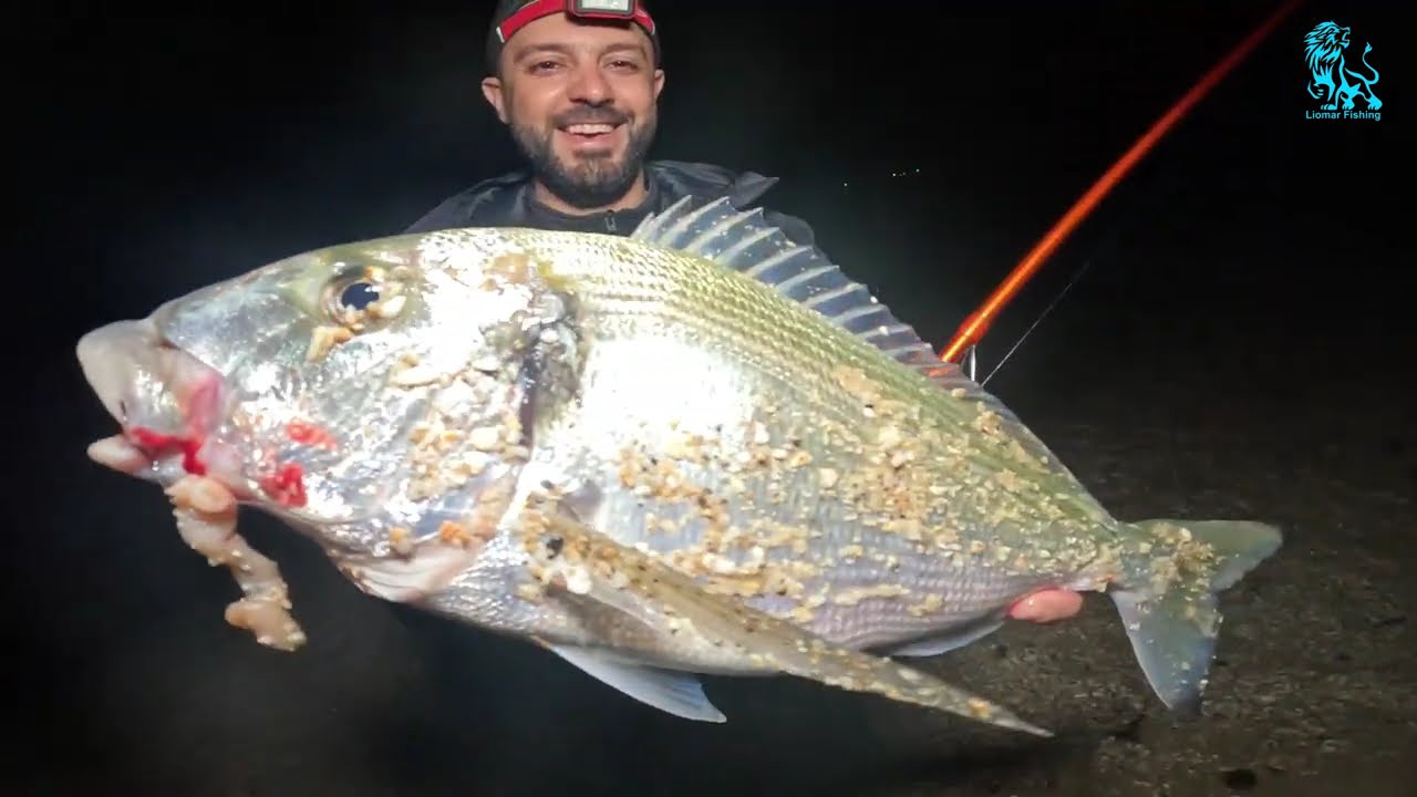 مصايد الشمال ,حصيلة ممتازة 💥💥💥SURFCASTING 🐟🐟🐟LIOMAR FISHING TEAM