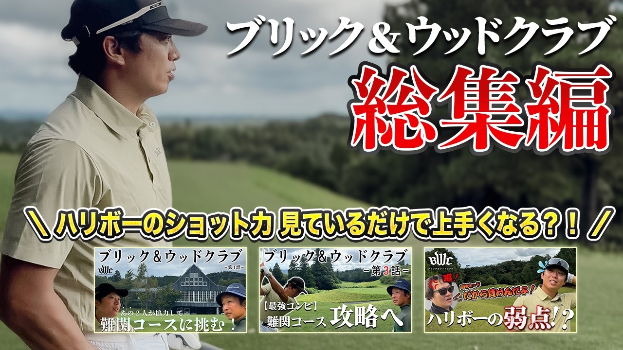 アマチュアゴルファー必見！ハリボーのショットや考えている事等々！見ているだけであなたもベストスコア更新？！【全ホール総集編 ブリック＆ウッドクラブ】