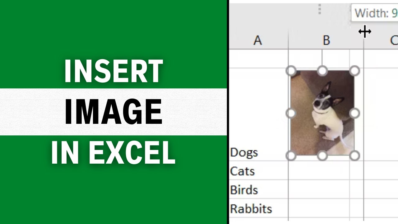 How to Insert Image in Excel Cell | LATEST GUIDE