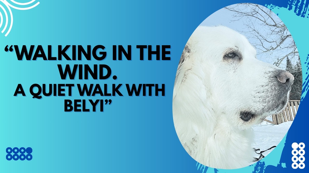 Belyi in the cold wind Why this dog teaches us to show up real