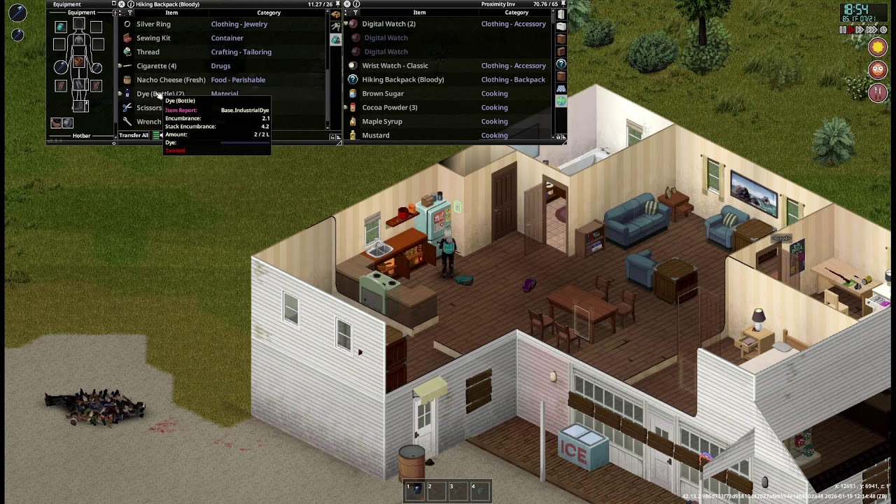 project zomboid