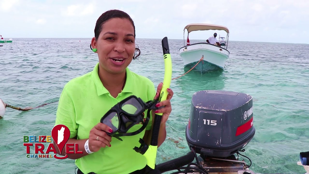 Tour the Hol Chan Marine Reserve and Shark Ray Alley !