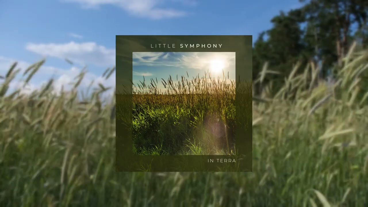 In Terra - Full Album, No AI Ambient Music & Nature Sounds