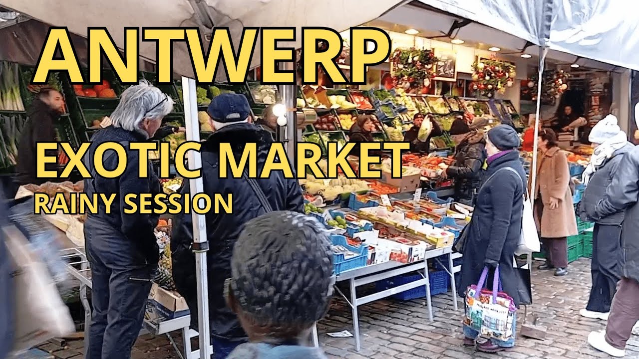Antwerp Exotic Market SESSION – Rainy Winter Saturday Walk | HD Slow TV