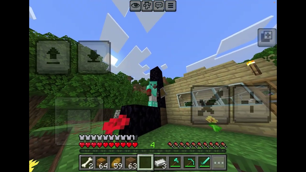 Minecraft Survival 