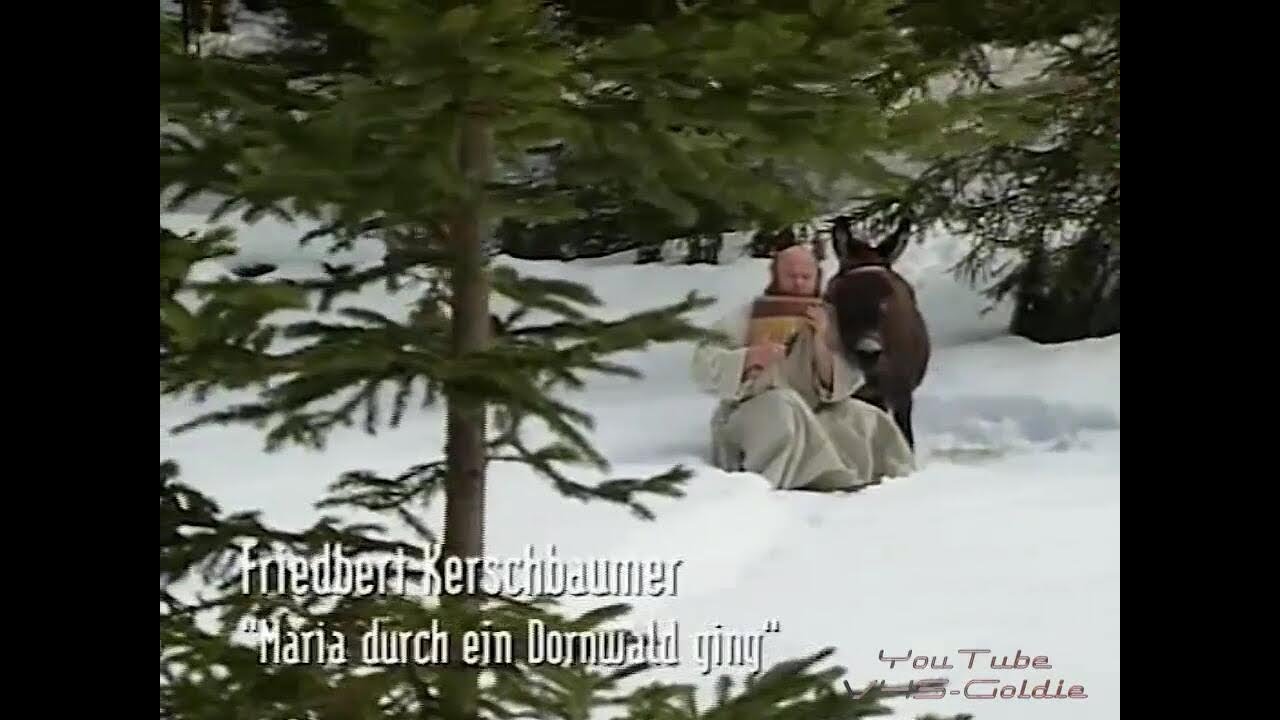 Friedbert Kerschbaumer - Maria durch ein Dornwald ging - 1996