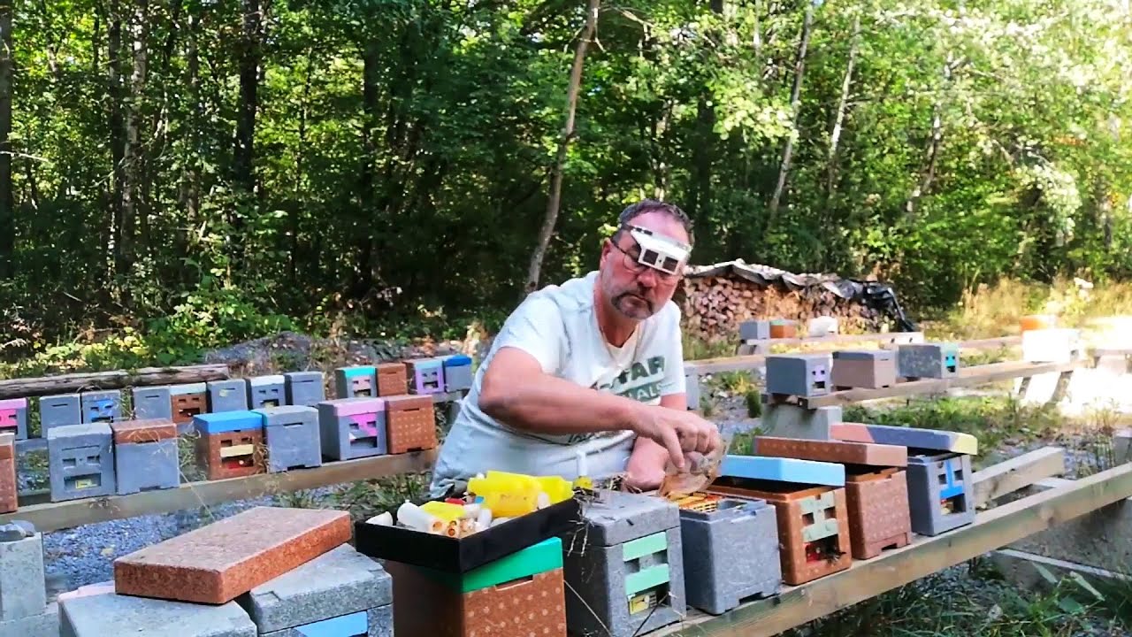 C'est la fin des reines noires de Chimay - Apiculture S02E21