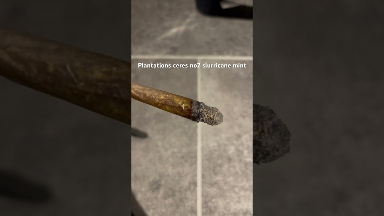Plantations ceres no2 slurricane mint burn