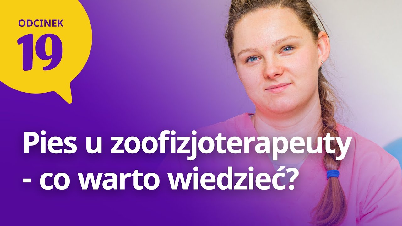 Zoofizjoterapia  - jak rehabilitacja może pom&oacute;c Twojemu psu? PSP 019
