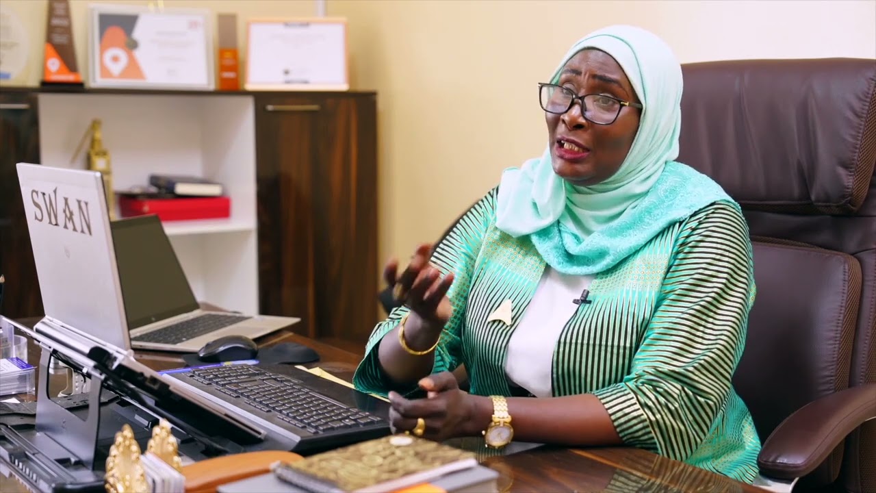 Présentation générale SWAN partie 2