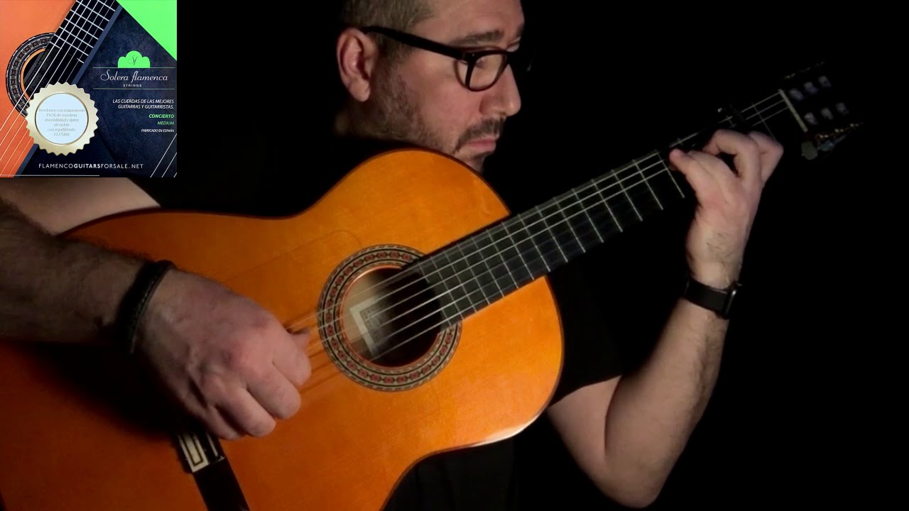 Solera Flamenca Strings - Medium
