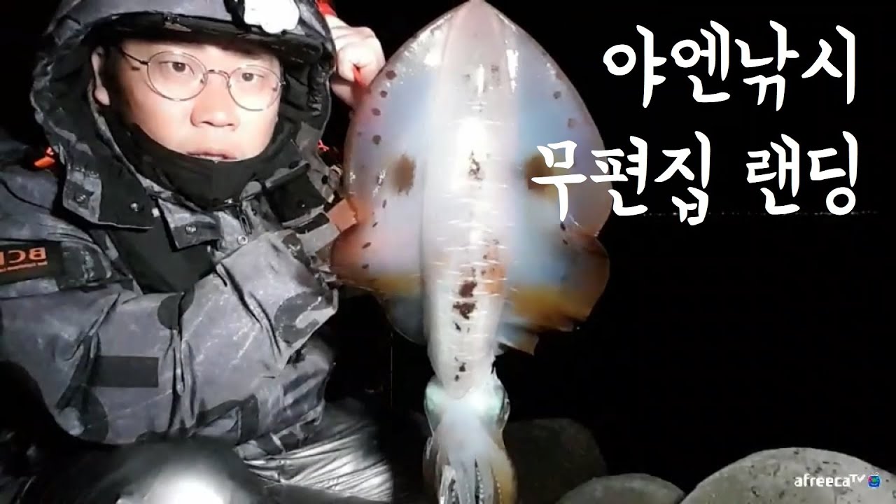 무늬오징어낚시 대물시즌답게 큰걸로 갑니다! (무편집 랜딩영상)(야엔낚시)