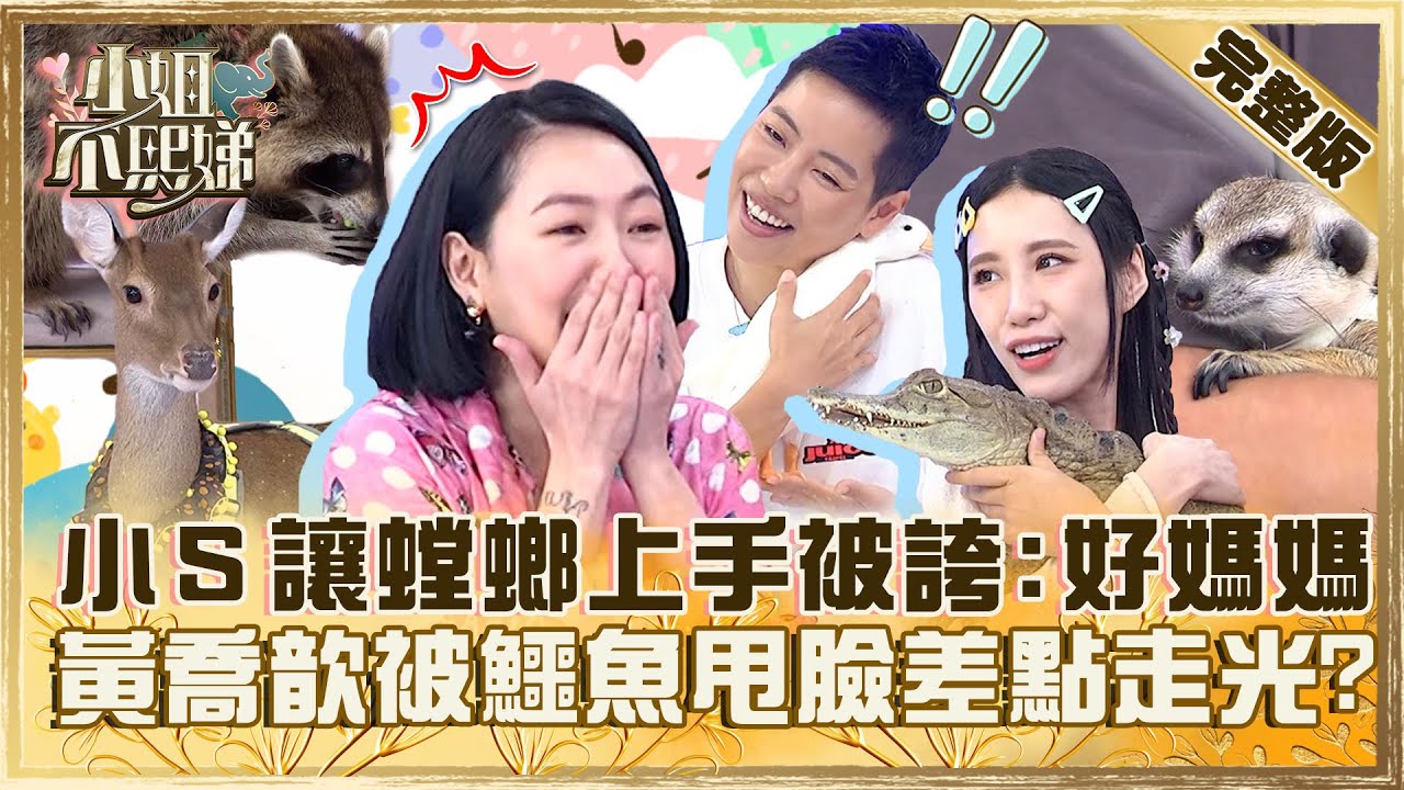 超酷毛小孩！小Ｓ讓螳螂上手被誇「好媽媽代表」！黃喬歆被鱷魚甩臉還差點走光？【#小姐不熙娣】20230822 完整版 EP374 黃喬歆 倪暄