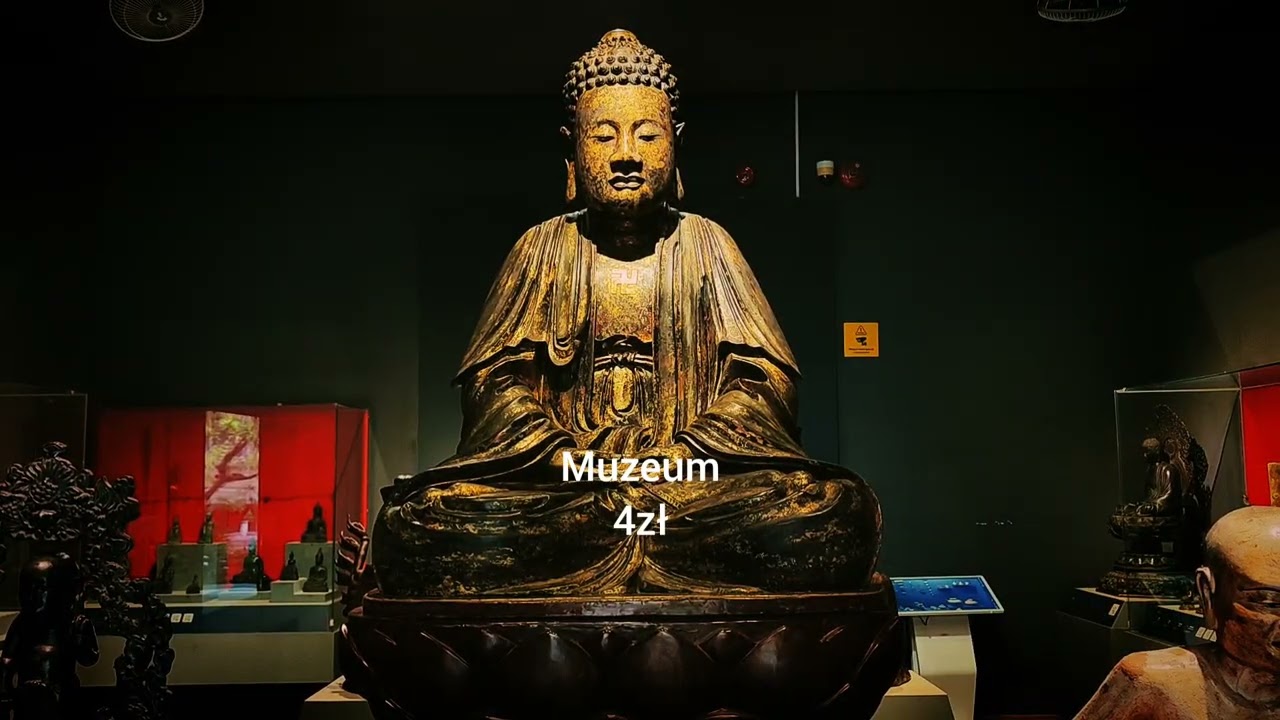 #wietnam #hochiminh #31