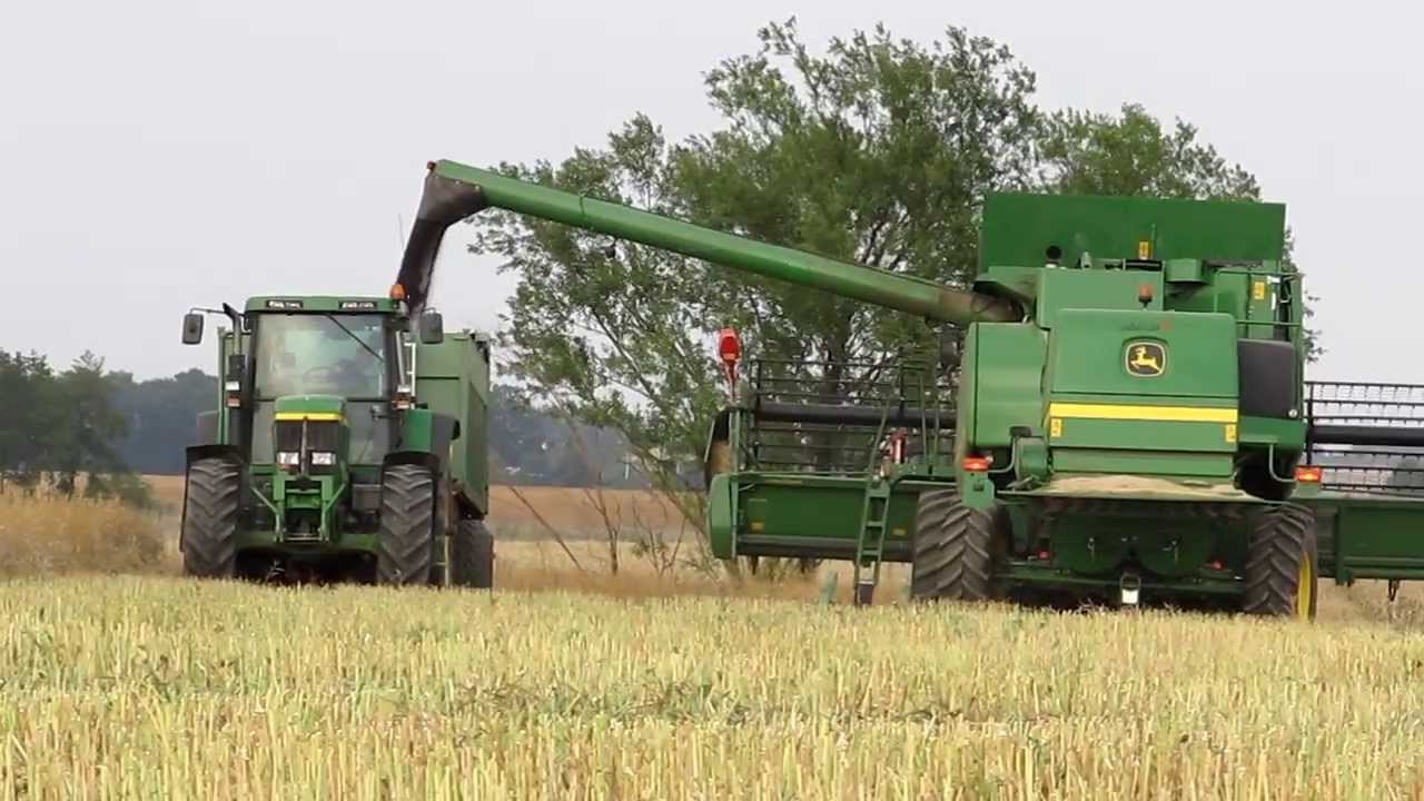 Żniwa 2011 Rzepak - Harvest Rape