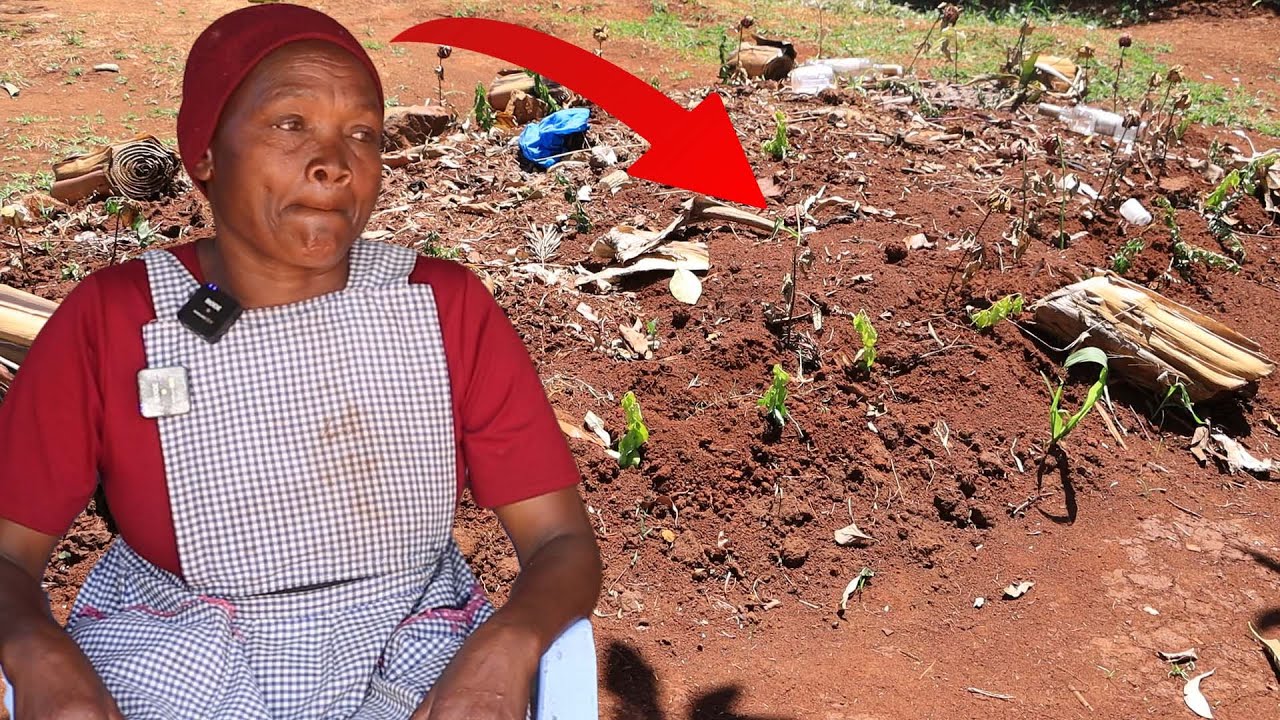 Omosubati oyomo atambururugete na gotigera Ng'ina biara abana magega y'okwanga gotindeka omwachi oye