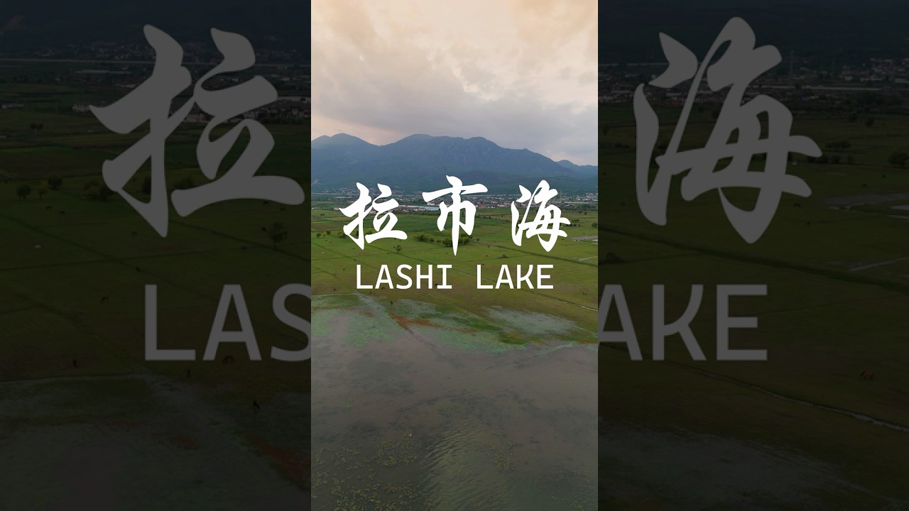 拉市海 Lashi Lake Yunnan July evening #shorts #云南 #旅游 #vlog #dji #djimini4pro #scenery