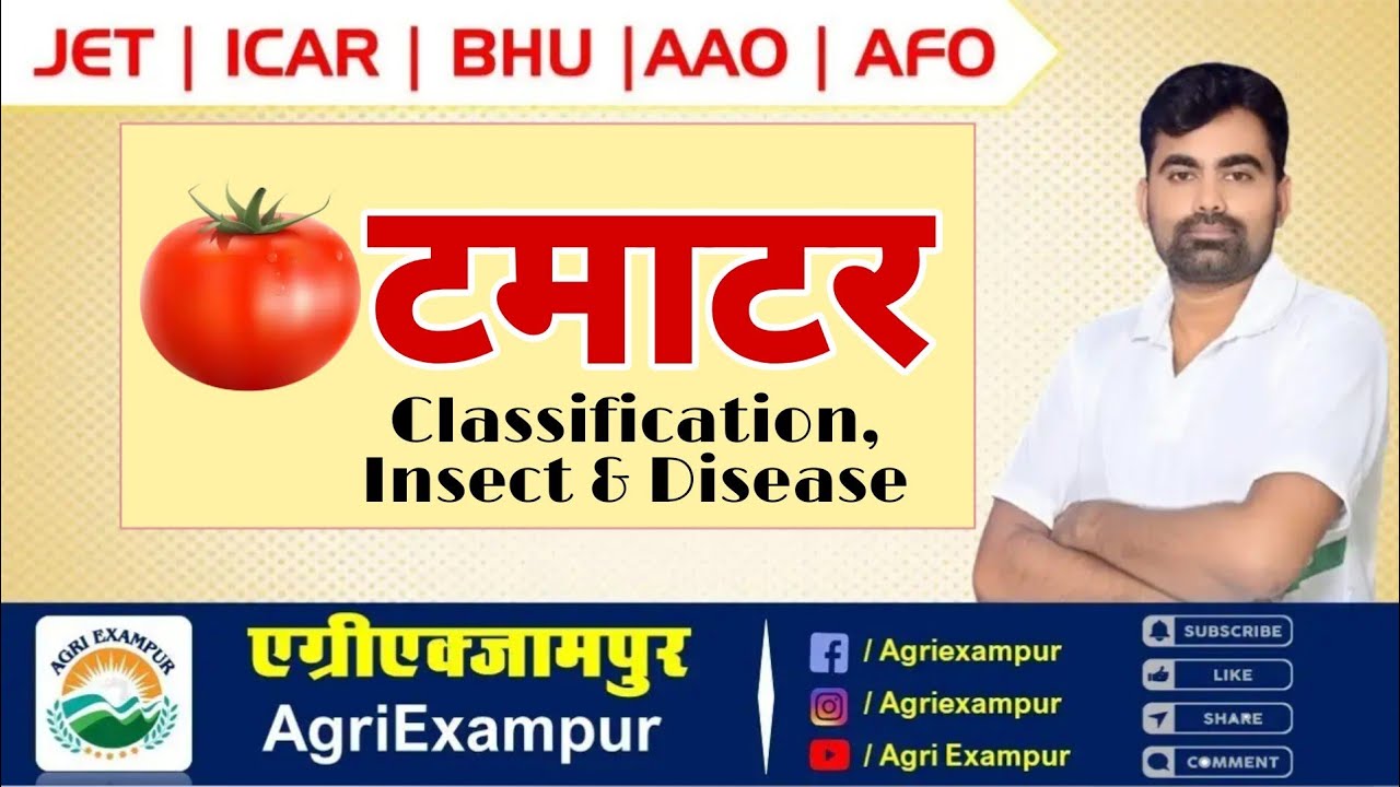 Tomato (टमाटर) ||Vegetable science||Horticulture ||Suresh Poonia @agriexampur7211