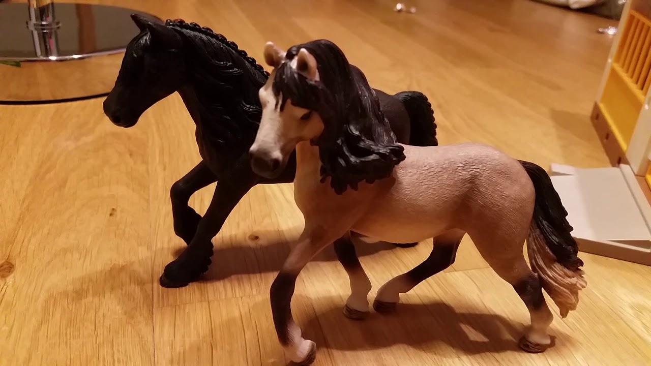 (Schleich) Der wahre Erbe Teil 1