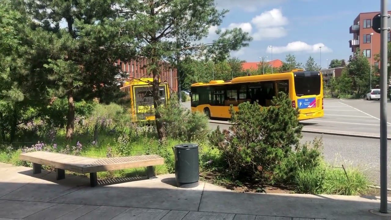 Busser i Nordsjælland & på Flintholm Station