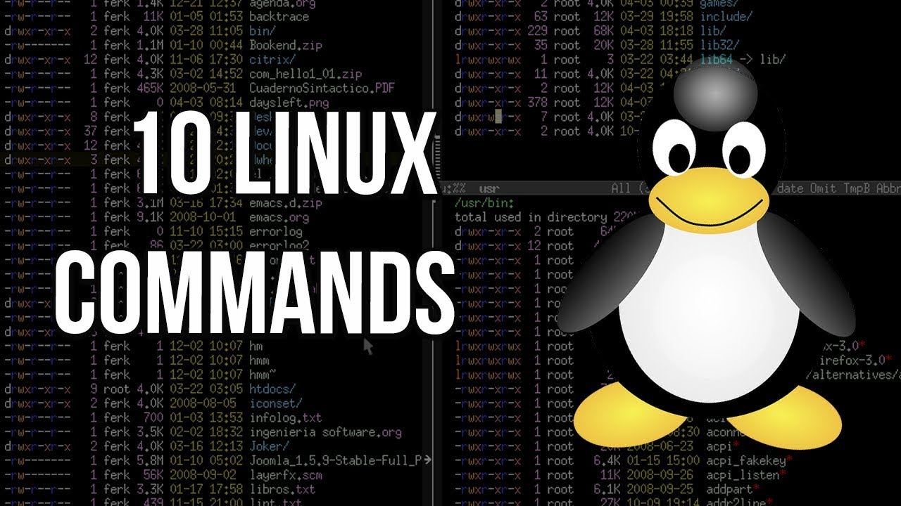 10 Linux commands that you should know - CompTIA Linux+ Giveaway!