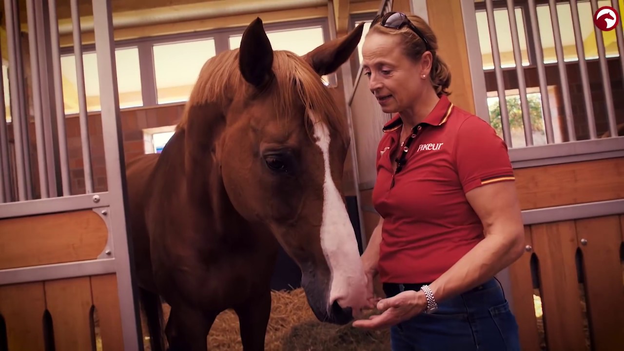 Zu Besuch bei Isabell Werth | Road to Tryon | Fendt | 2018