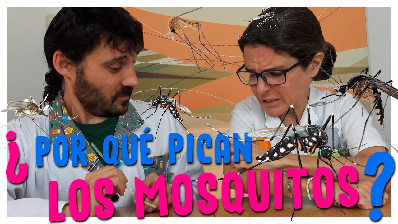 🦟🦟¿Por qué nos PICAN los MOSQUITOS? 🦟🦟
