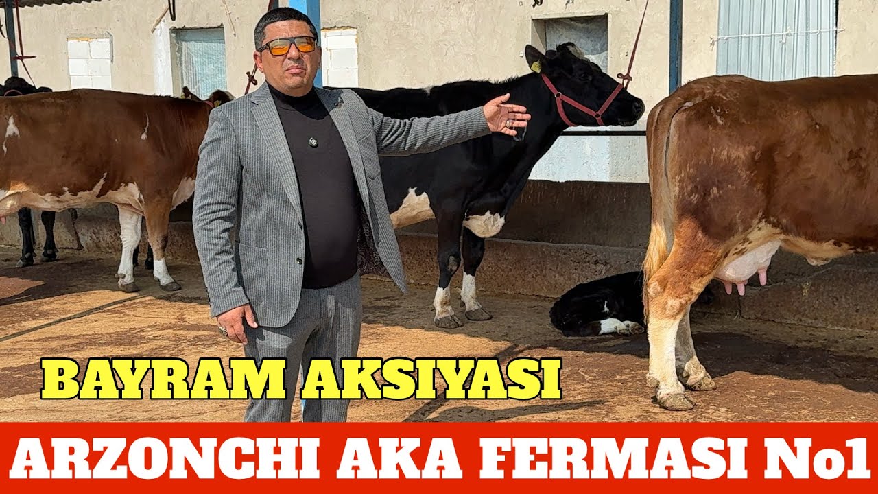 ARZONCHI AKA XAYTGA XAYTLI JUMA MUBORAK BO’LSIN. SIGIRLAR SALTANATIGA SAYOHAT