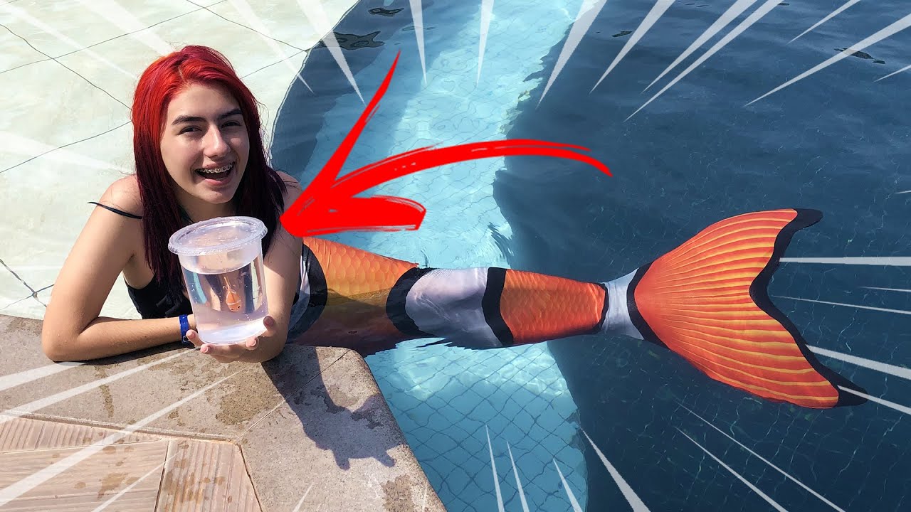 PROCURANDO NEMO 6 EM ANEL DA PEDRA DA LUA - Marina Bombonato