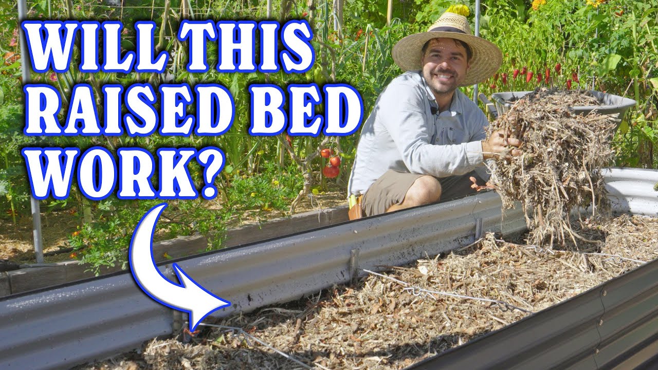 I Filled My New Raised Bed With A Terrible (Or Great?) Material
