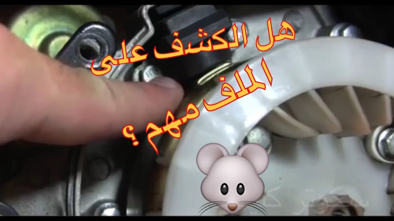 هل الكشف على الفحماية وملف كهرباء السكوتر مهم ؟ . Ignition Pickup & stator checks GY6 Stator