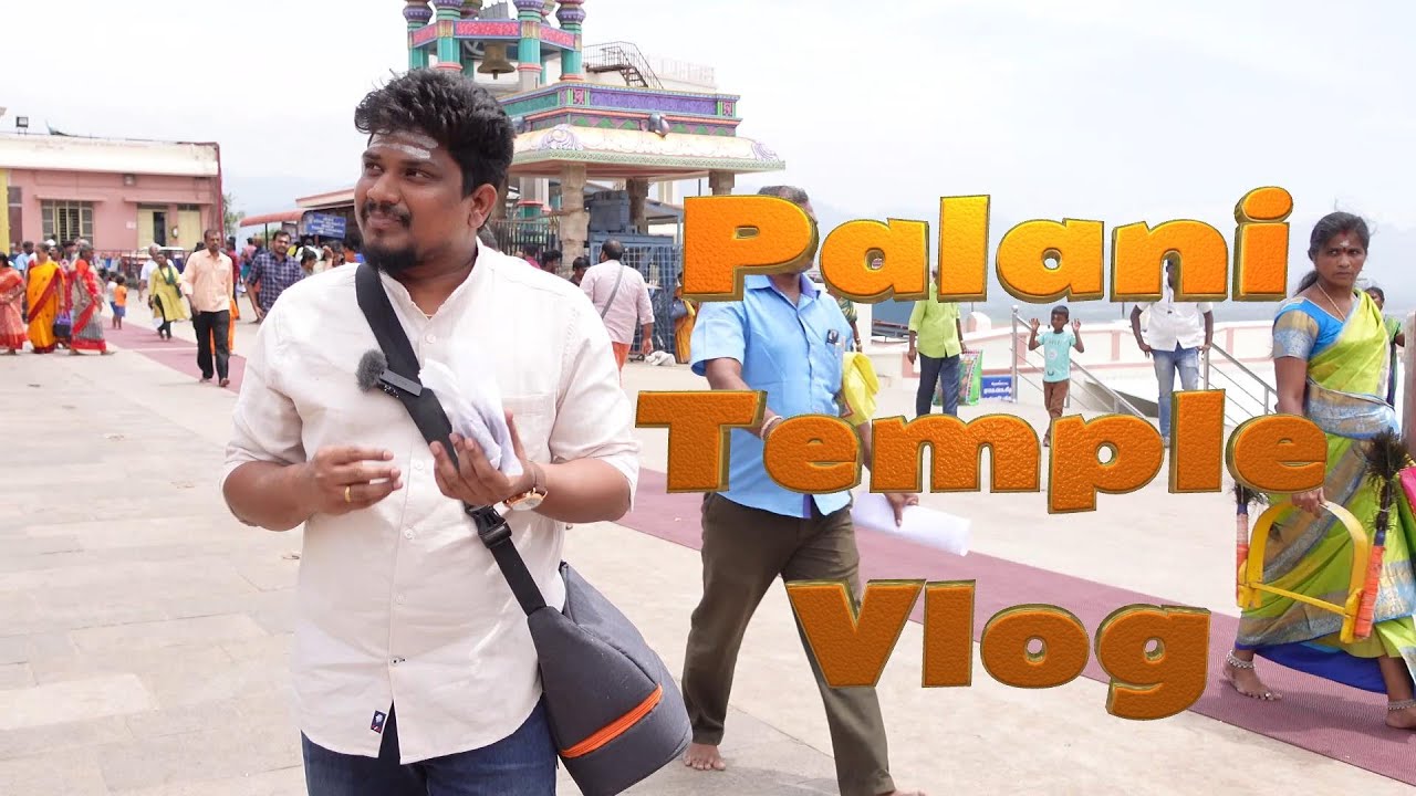 Palani Temple Elephant Path by walking | 700 Step Climbing | Palani Hill temple is 500 ft | V84