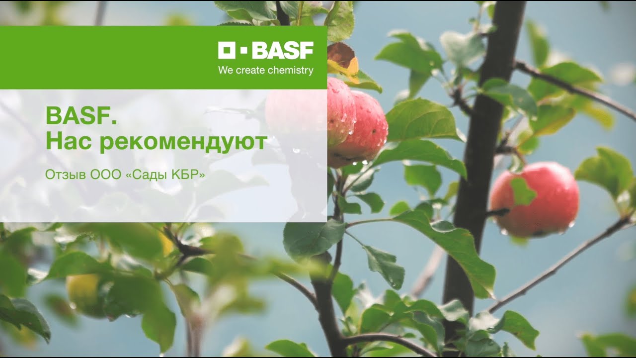 Фунгициды BASF в садах. Надежность и результат.