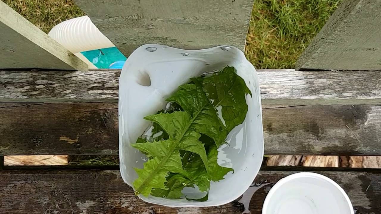 Homemade Toilet